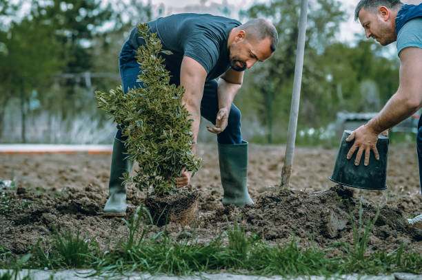 Best Tree Pruning Services  in Moundville, AL